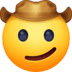 cowboy_hat_face